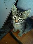     
: 2013-11-30 14.51.55.jpg
: 21
:	79.3 
ID:	7305616
