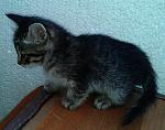     
: 2013-11-30 14.51.49.jpg
: 21
:	133.4 
ID:	7305617
