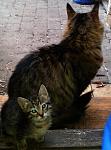     
: 2013-11-30 14.32.40.jpg
: 26
:	95.7 
ID:	7305622