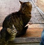     
: 2013-11-30 14.32.37.jpg
: 20
:	132.0 
ID:	7305623