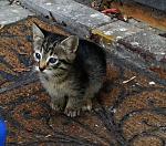     
: 2013-11-30 14.35.42.jpg
: 22
:	132.1 
ID:	7305624