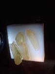     
: P021213_17.10.jpg
: 15
:	31.4 
ID:	7308564