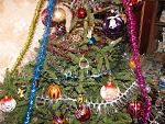     
: IMG_1107.jpg
: 64
:	306.1 
ID:	731182