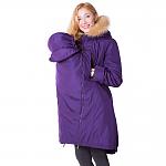     
: img_214.jpg
: 8
:	134.6 
ID:	7312679