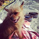     
: V-MWu_KO4r0.jpg
: 13
:	245.7 
ID:	7315771