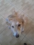     
: AND33S6pbT0.jpg
: 7
:	115.6 
ID:	7315815