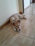     
: 33DWyVAUTZM.jpg
: 12
:	98.0 
ID:	7315816