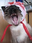     
: IMG_6744.jpg
: 22
:	85.7 
ID:	731809