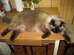     
: IMG_0001.jpg
: 3
:	124.3 
ID:	7318215