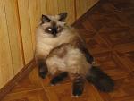     
: IMG_0098.jpg
: 2
:	104.5 
ID:	7318216