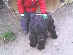     
: IMG_20131204_123048.jpg
: 17
:	113.9 
ID:	7320979