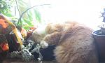     
: IMG_5451.jpg
: 3
:	92.0 
ID:	7328915