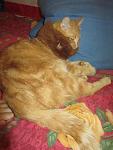     
: IMG_5426.jpg
: 3
:	95.3 
ID:	7328916
