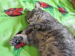     
: IMG_5419.jpg
: 3
:	164.2 
ID:	7328926