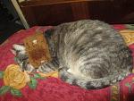     
: IMG_5424.jpg
: 4
:	161.1 
ID:	7328935