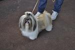     
: YdTGz_OmdqE.jpg
: 34
:	49.2 
ID:	7329575