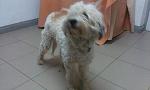     
: IMAG0292.jpg
: 24
:	91.7 
ID:	7330764