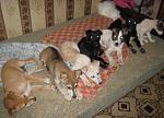     
: IMG_8174.jpg
: 17
:	142.7 
ID:	7332678