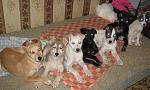     
: IMG_8175.jpg
: 14
:	128.1 
ID:	7332679