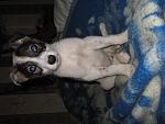     
: IMG_8131.jpg
: 11
:	138.1 
ID:	7332725