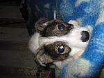     
: IMG_8132.jpg
: 22
:	131.1 
ID:	7332726