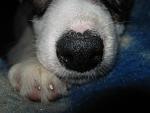     
: IMG_8134.jpg
: 19
:	79.2 
ID:	7332733