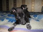     
: IMG_8117.jpg
: 15
:	158.3 
ID:	7332739