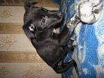     
: IMG_8121.jpg
: 21
:	160.9 
ID:	7332743