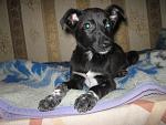     
: IMG_8128.jpg
: 22
:	128.9 
ID:	7332746