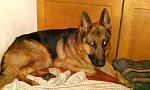     
: IMAG2696.jpg
: 11
:	142.6 
ID:	7332795
