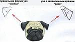     
: x_2c4497ca.jpg
: 34
:	21.8 
ID:	733377