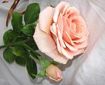     
:  2013 015.jpg
: 2
:	109.7 
ID:	7333779