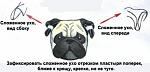    
: x_602e5116.jpg
: 32
:	26.9 
ID:	733378