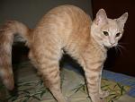     
: IMG_6376.jpg
: 9
:	120.7 
ID:	7339256