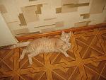    
: Изображение 010.jpg
: 10
:	142.5 
ID:	7339259