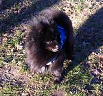     
: IMG_1685.jpg
: 6
:	197.8 
ID:	7340987