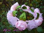     
: 1294f9b9.jpg
: 27
:	89.1 
ID:	7345479