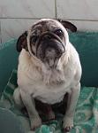     
: DSC01016.jpg
: 16
:	62.1 
ID:	7346263
