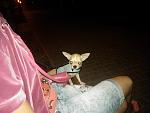     
: AR_Vts5WIvY.jpg
: 56
:	43.7 
ID:	7346494