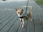     
: 71_OOSVfrBQ.jpg
: 60
:	50.0 
ID:	7346496