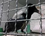     
: CAM00204.jpg
: 11
:	110.7 
ID:	7346527