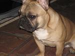    
: IMG_2907.jpg
: 9
:	94.4 
ID:	7348580