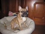     
: IMG_4036.jpg
: 12
:	133.3 
ID:	7348588
