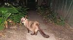     
: IMG_0500.jpg
: 11
:	82.1 
ID:	7350143