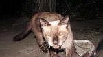     
: IMG_0499.jpg
: 7
:	62.0 
ID:	7350145