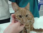     
: 20131208_152014.jpg
: 0
:	93.2 
ID:	7350397