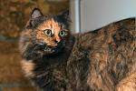     
: DSC_0113.jpg
: 5
:	154.3 
ID:	7353057