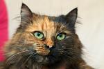     
: DSC_0086.jpg
: 5
:	86.8 
ID:	7353108