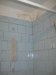     
: IMG_5558.jpg
: 31
:	42.2 
ID:	7355375