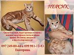     
: декабрь персик.jpg
: 8
:	94.5 
ID:	7355378